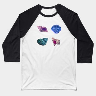 Cool Seashell 4 Pack Baseball T-Shirt